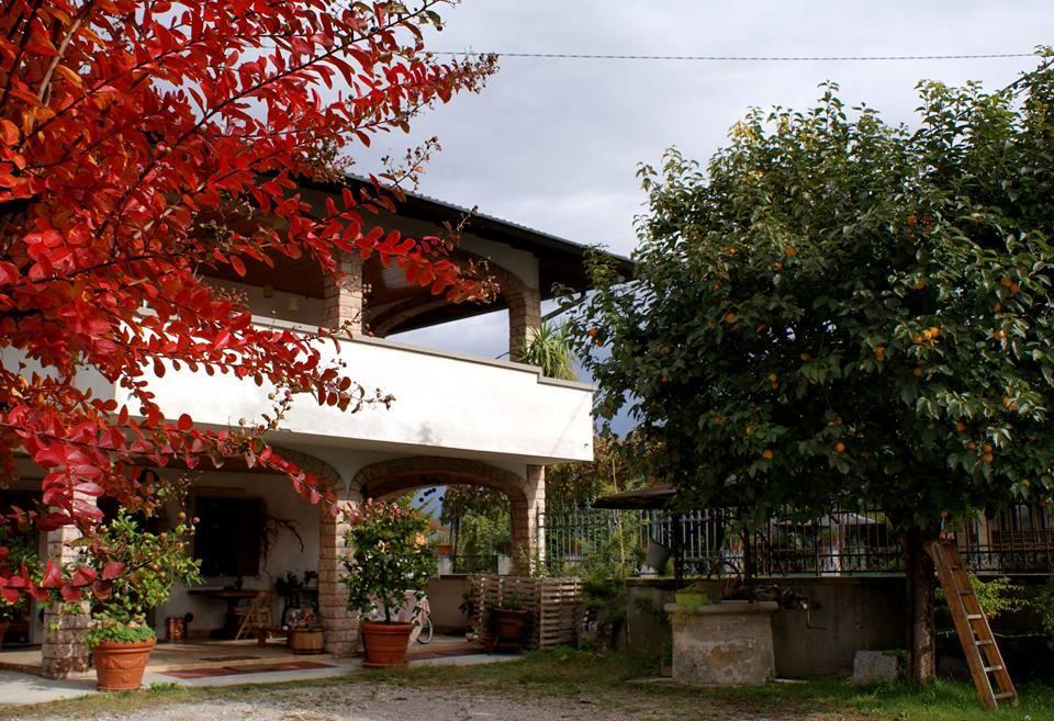 B&B Nella Terra Di Mezzo Caporiacco Zewnętrze zdjęcie
